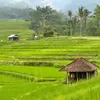 Kaget! Cerita ART di Desa Lebih Kaya dari Majikan