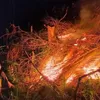 Tiga Desa di Jambi Waspada Karhutla