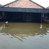 Banjir Rob Meluas di Demak : Kini Terjang 11 Desa