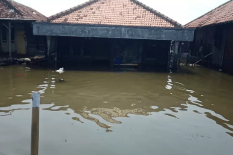 Banjir rob yang menerjang Kabupaten Demak. (Dok. BKPP Kabupaten Demak)